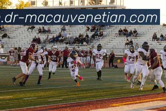 App Interface Preview