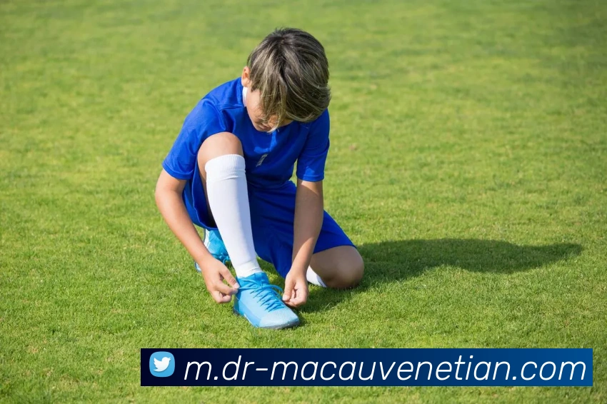 威尼斯人官网APP 封面图